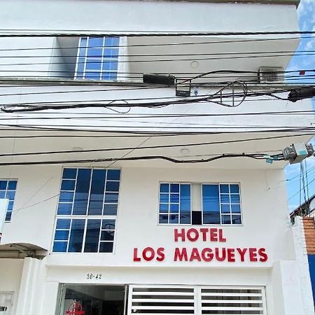 Hotel Los Magueyes Bucaramanga Kültér fotó