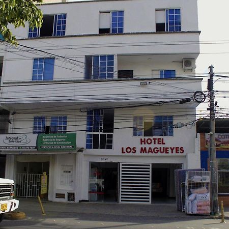 Hotel Los Magueyes Bucaramanga Kültér fotó