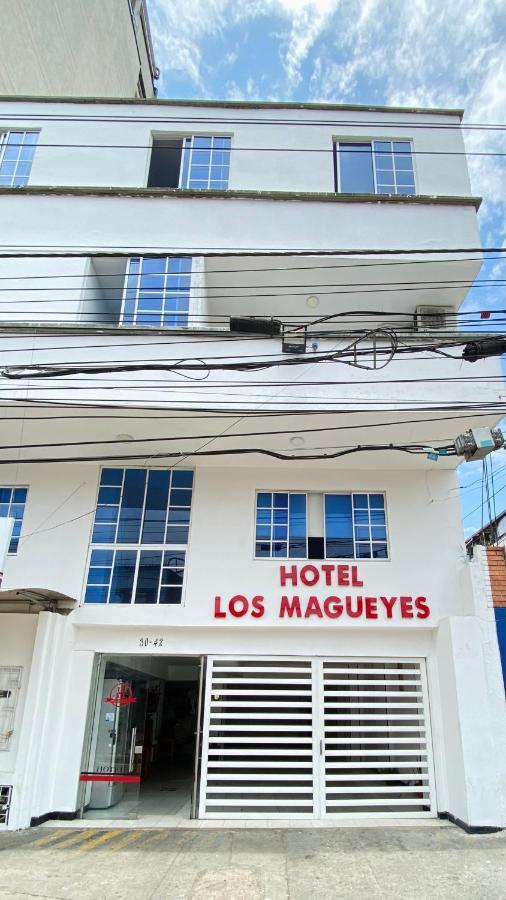 Hotel Los Magueyes Bucaramanga Kültér fotó