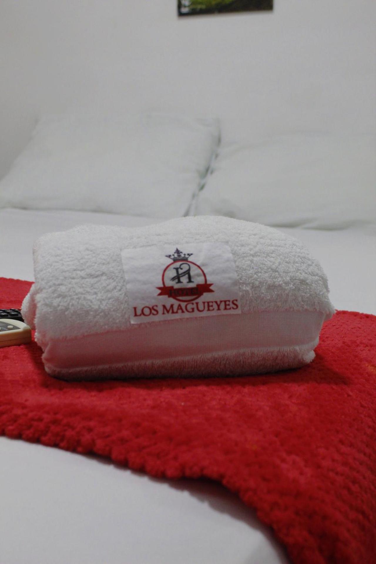 Hotel Los Magueyes Bucaramanga Kültér fotó